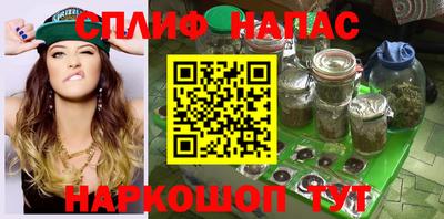 эйфоретик Тара