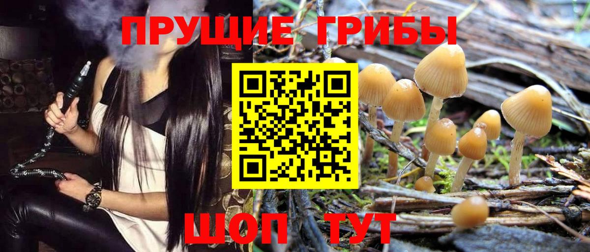 Псилоцибиновые грибы мицелий Реутов